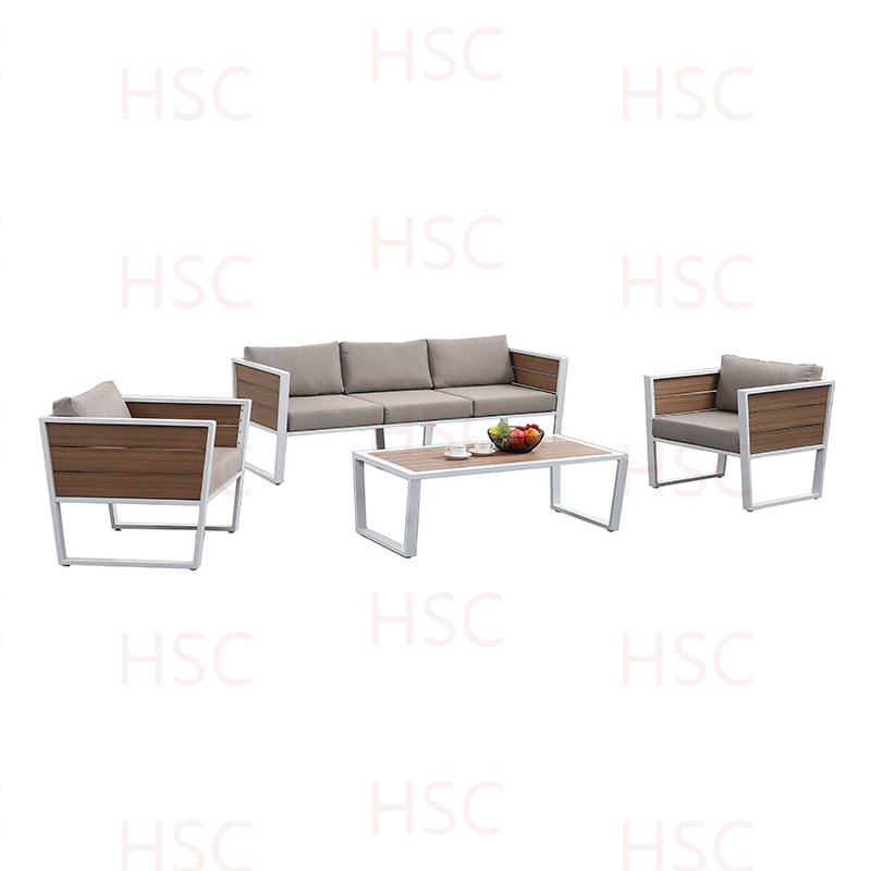 HSCSS24002